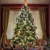 Christmas Music、The Merry Christmas Players、Celtic Christmas Music Collection - Meowy Christmas!