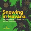 Don Gorda Project、Boring Sax、Las Atlanticas - Snowing In Havana