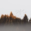 Dormir Profundamente、Trouble Sleeping Music Universe、Internal Yoga - Lifetime Lullaby