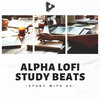 Study With Us - Binaural Peace