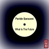 Paride Saraceni《What Is The Future》[MP3/LRC]