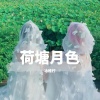 一只小西柚 - 荷塘月色