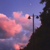 刘书池 - Gabrielle summer night