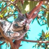Music For Cats、Cats Music Zone、Jazz Music Therapy for Cats - Pure Bliss Waves
