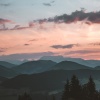 Music For Cats、Calm Music for Cats、Music for Cats TA - All Is Quiet