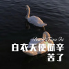 DJ六大大 - 白衣天使你辛苦了 (Remix)
