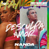 Nanda - Desculpa, amor (Explicit)