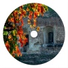 Miguel Garji、Javi Viana - How Are You