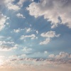 Music For Cats、Music for Relaxing Cats、Music For Cats Peace - Stress Just Melts