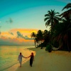 Music For Cats、Pet Care Music Therapy、Jazz Music Therapy for Cats - Creek & Rain Medley