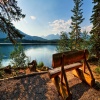 Relaxing Music、Yoga Music、Sounds of Nature Noise - Practice