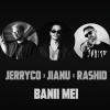 JerryCo、Rashid、Jianu - Banii Mei (Explicit)