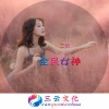 唐不火 - 电子大炮