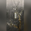 凤来仪Flynn - 从别后 (女声版)