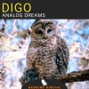 Digo - Analog Dreams