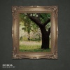 DIVERSA、Kelvin Davidson - Anaïse