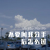 菠菜弟 - 不要问我分手后怎么过 (Remix)