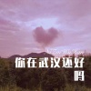 56MIX - 你在武汉还好吗 (Remix)