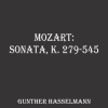 Gunther Hasselmann、Wolfgang Amadeus Mozart《Sonata in B Flat Major, K378-317d: I. Allegro》[MP3/LRC]