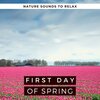 Spring Juice - First Day of Spring