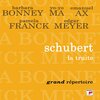 Emanuel Ax、pamela frank、Edgar Meyer、Rebecca Young、马友友 - I. Allegro vivace