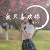 宋十二 - 我只喜欢你