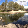 Jeff Jarvis、Dave Nash、Michael Driscoll - Anne Maria