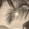 Sidney Bechet - Summertime
