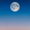 Trouble Sleeping Music Universe、Shakuhachi Sakano、Gentle Rain Makers - Rolling Dusk