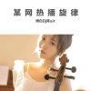 博白Dj陈sir - 某网热播旋律