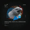 Daniele Kama、Andres Blows、Hassio (COL) - No One (Original Mix)