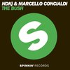 ndkj、Marcello Concialdi - The Bush (Postmodern Funk Mix)