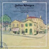 Liza Ferschtman、Rheinland-Pfalz State Philharmonic Orchestra、David Porcelijn - Violin Concerto in A Minor - I. Allegro ben moderato