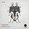 David Museen - Hidden Past (Original Mix)