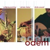 wolfgang puschnig、Jatinder Thakur、Dhafer Youssef - Promise