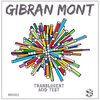 Gibran Mont - Translucent (Original Mix)