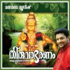 madhubalakrishnan - Pathinettu Padi