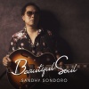 sandhy sondoro - Beautiful Soul
