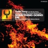 todd terry - Something Going On (Marc Fisher's Newskool of Oldskool Remix)