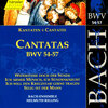 helmuth rilling、Stuttgart Bach Collegium、Júlia Hamari - Widerstehe doch der Sunde (Alto)