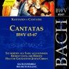 helmuth rilling、Felix Mendelssohn、Stuttgart Bach Collegium - Gold aus Ophir ist zu schlecht (Bass)