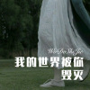 浪子.. - 我的世界被你毁灭 (Remix)