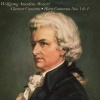 Orpheus Chamber Orchestra、charles neidich、Wolfgang Amadeus Mozart《Clarinet Concerto In A, K 622《1. Allegro》[MP3/LRC]