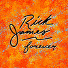 Rick James - Mystic Booty