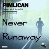 Pimlican - Never Runaway (Original Mix)