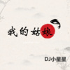 DJ小星星 - 所念皆星河