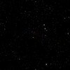 猫大饼、许昌伟 - 星子