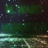 M. Ward - Migration of Souls
