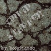 Boogie4200 - REALFEELINGS