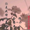 余安冉、顾小小 - 你是我撞的南墙
